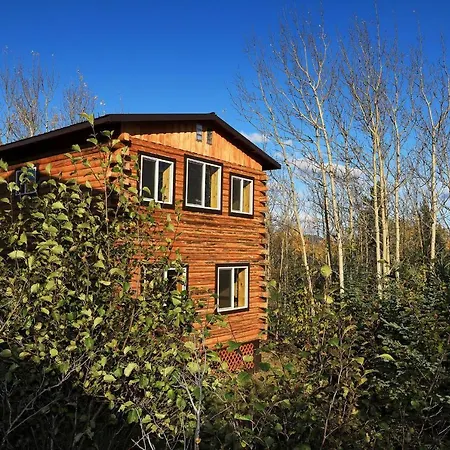 Denali Park View Family Log Cabin Exterior photo