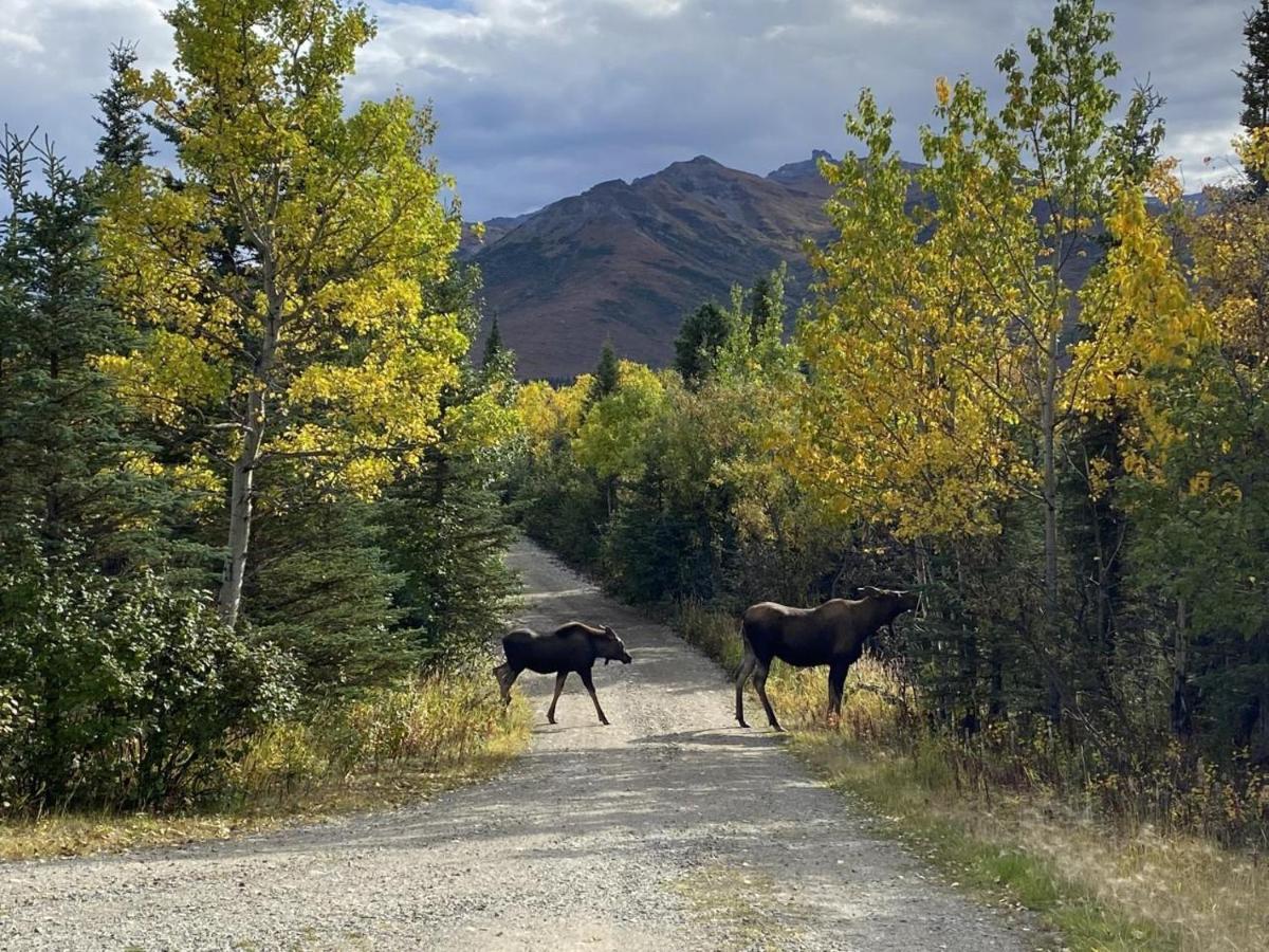 Holiday home View Family Log Denali Park